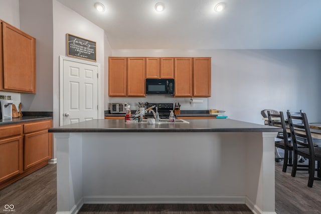 kitchen with dark hardwood / wood-style flooring, sink, and an island with sink