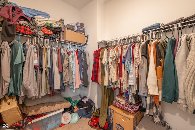 spacious closet with carpet floors