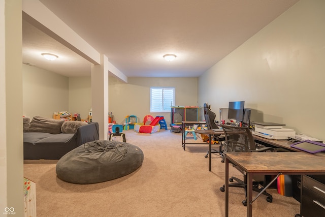 recreation room with light colored carpet