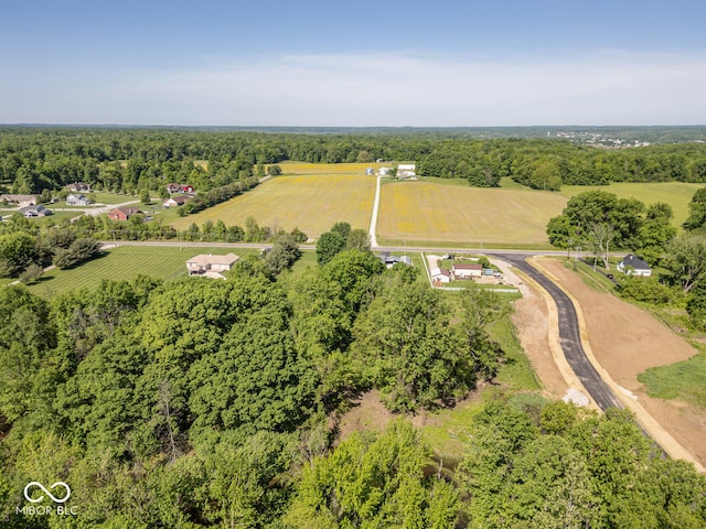 drone / aerial view featuring a rural view