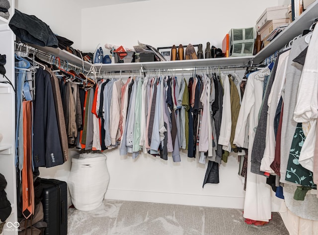 spacious closet featuring carpet