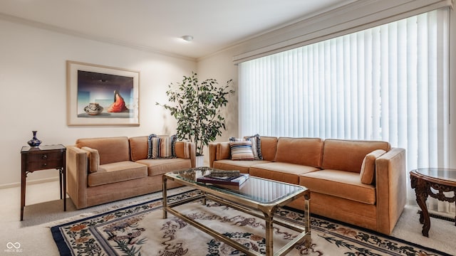 carpeted living area with ornamental molding