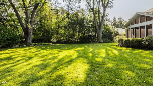 view of yard featuring a sunroom