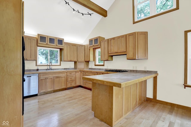 800 N 400 W, Bargersville, IN 46106 - kitchen featuring dishwasher, a peninsula, light wood-style flooring, high vaulted ceiling, and rail lighting