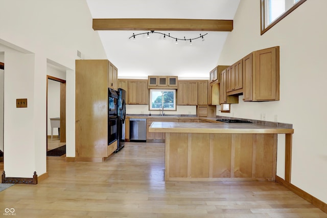 800 N 400 W, Bargersville, IN 46106 - kitchen with dishwasher, a peninsula, light wood-style floors, a towering ceiling, and beamed ceiling