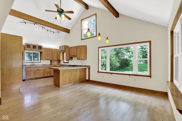 800 N 400 W, Bargersville, IN 46106 - kitchen featuring beam ceiling, high vaulted ceiling, light wood-type flooring, ceiling fan, and healthy amount of natural light