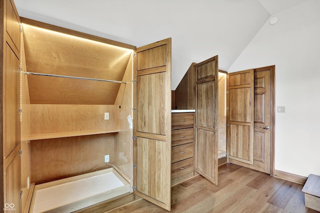 800 N 400 W, Bargersville, IN 46106 - spacious closet featuring vaulted ceiling and light wood-type flooring