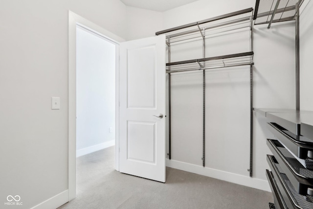 walk in closet with light carpet