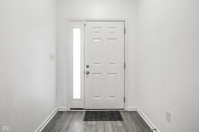 entrance foyer featuring dark wood-type flooring