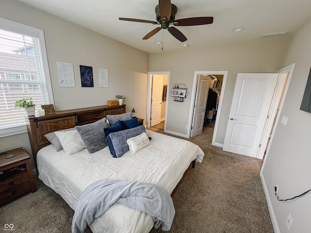 bedroom featuring carpet, multiple windows, a spacious closet, and baseboards