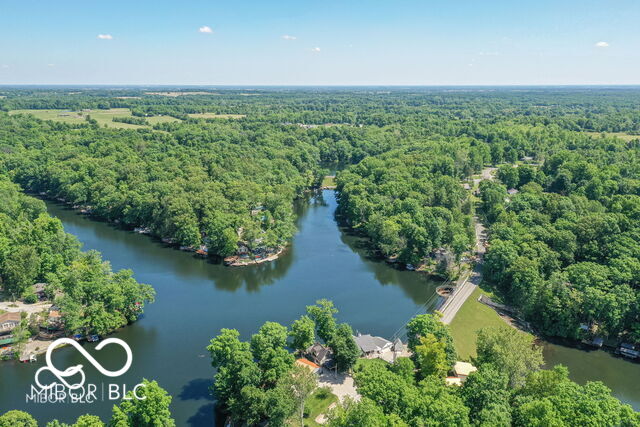 drone / aerial view with a water view and a view of trees