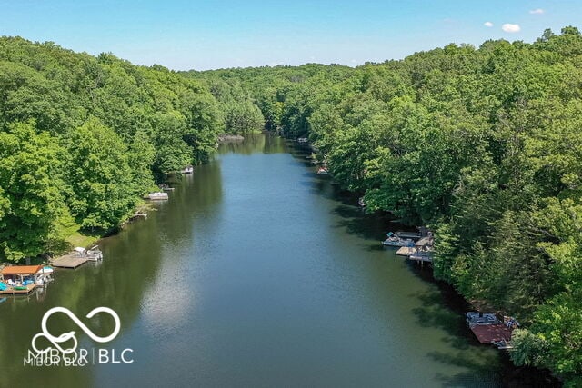 birds eye view of property with a water view and a forest view