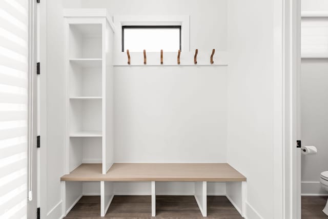 mudroom featuring dark hardwood / wood-style flooring