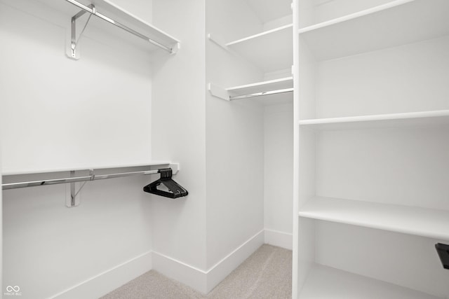 walk in closet with carpet flooring