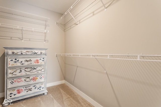 walk in closet with carpet flooring