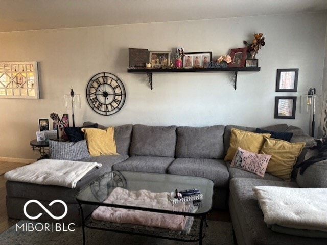 living room with hardwood / wood-style flooring