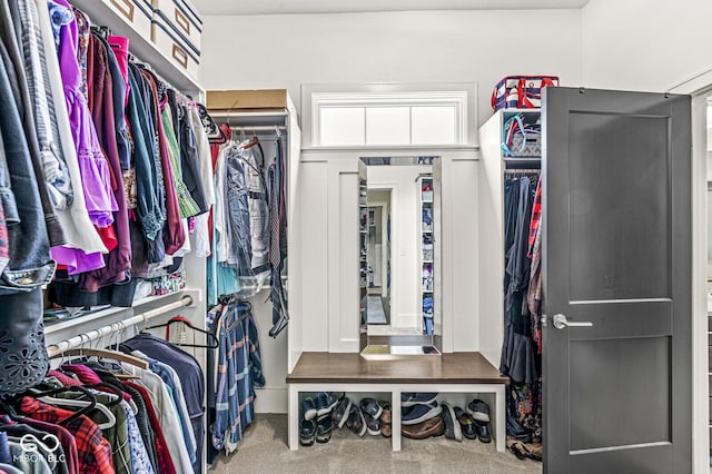 spacious closet with carpet