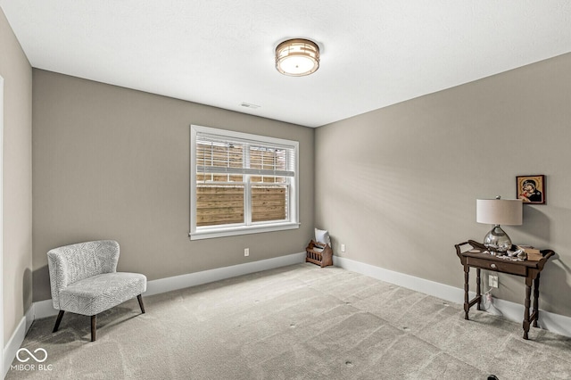 sitting room featuring carpet flooring