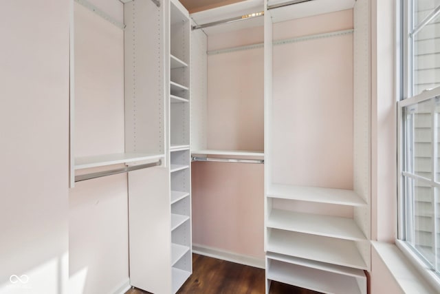 spacious closet featuring wood finished floors