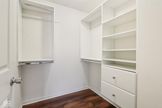 spacious closet with dark wood finished floors