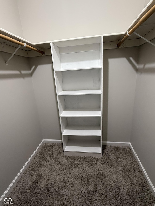 walk in closet featuring dark carpet