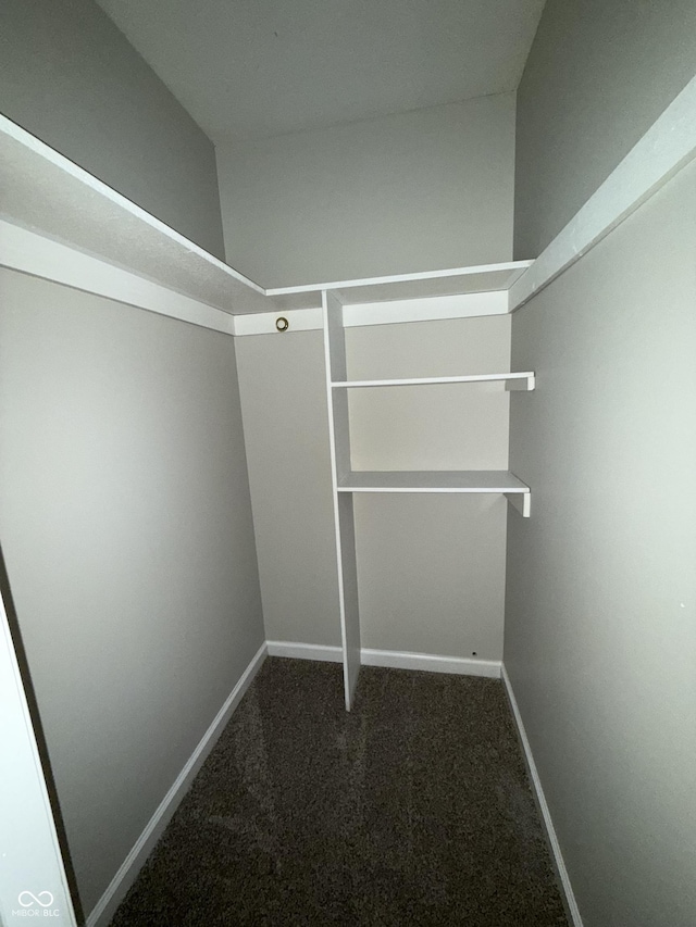 walk in closet featuring dark carpet