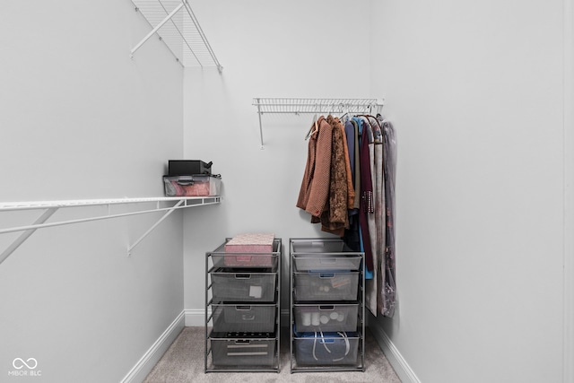 walk in closet featuring carpet floors