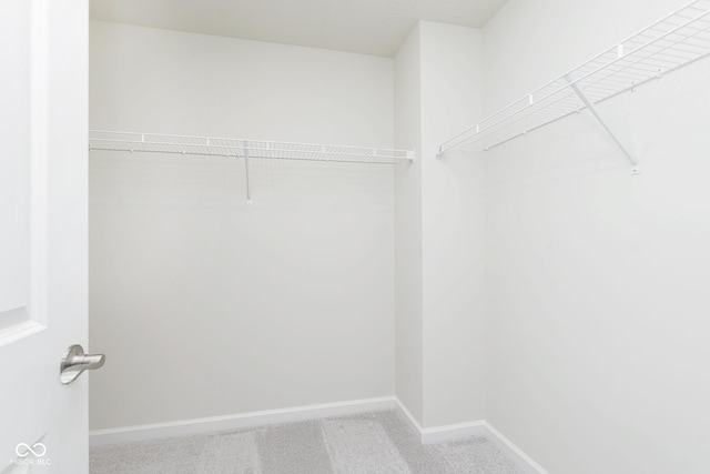 spacious closet with light carpet