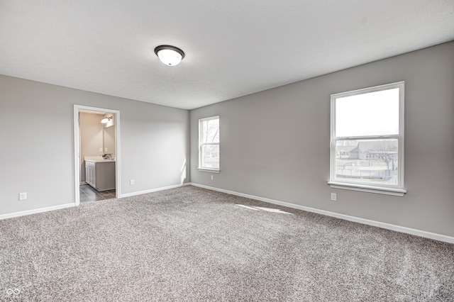 empty room with carpet flooring, sink, and a textured ceiling