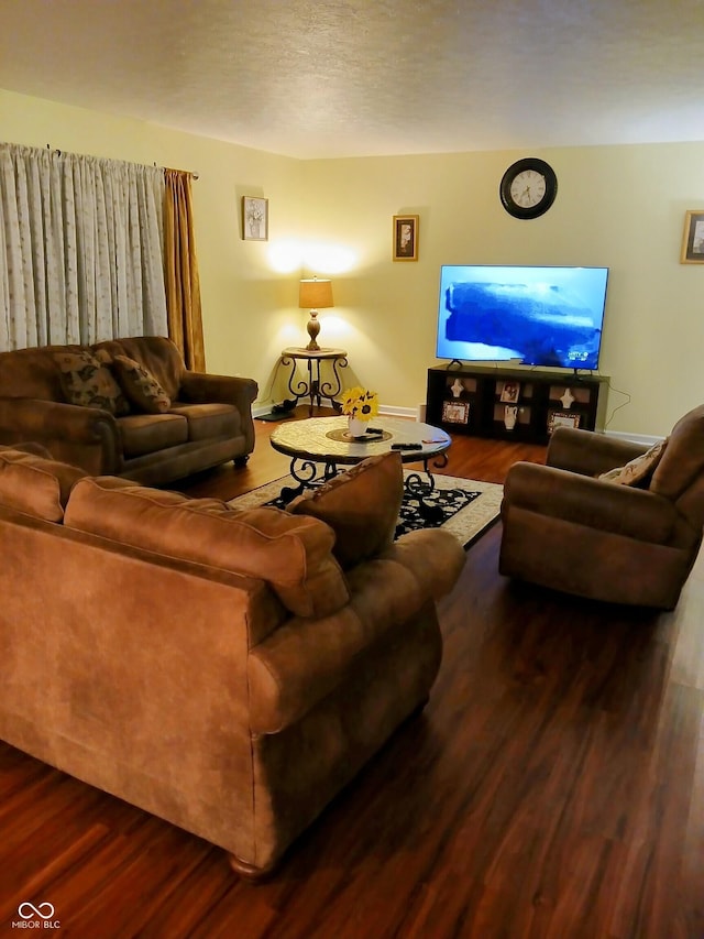 living room with wood-type flooring and a textured ceiling