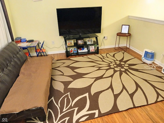 living room featuring light hardwood / wood-style flooring