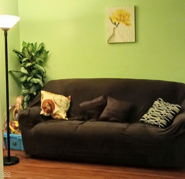 living room featuring wood-type flooring