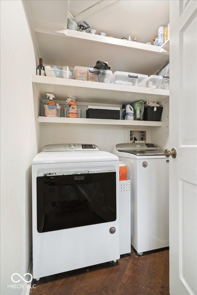 laundry room featuring dark wood-type flooring and washer and clothes dryer