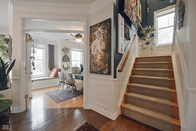 staircase featuring ceiling fan, a wealth of natural light, ornamental molding, and wood-type flooring