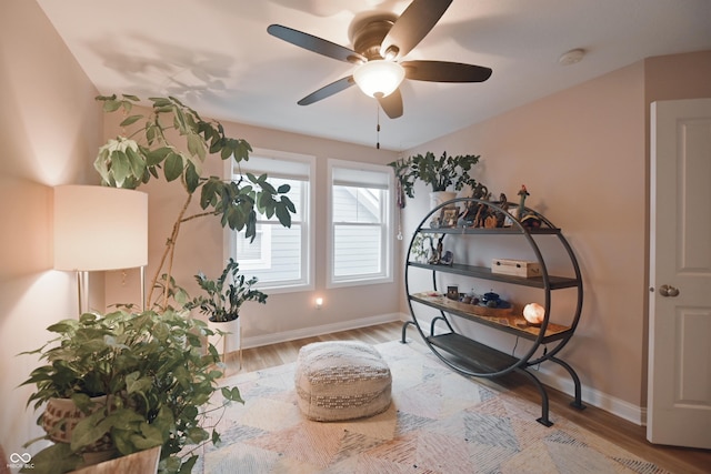 living area with ceiling fan and light hardwood / wood-style floors