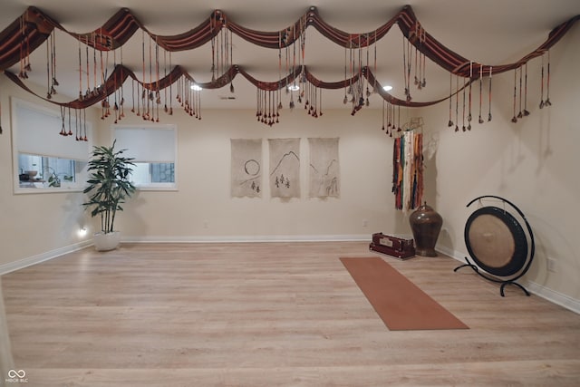 interior space featuring light hardwood / wood-style floors