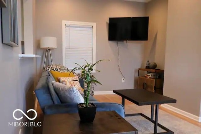 living room featuring light wood-type flooring