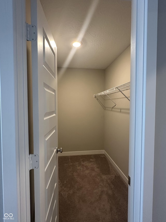 walk in closet with dark colored carpet