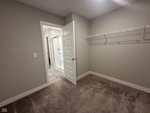 spacious closet featuring carpet flooring