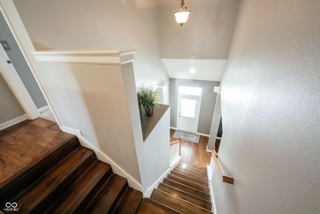 stairs with hardwood / wood-style flooring