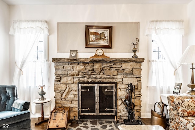 room details featuring hardwood / wood-style floors and a stone fireplace