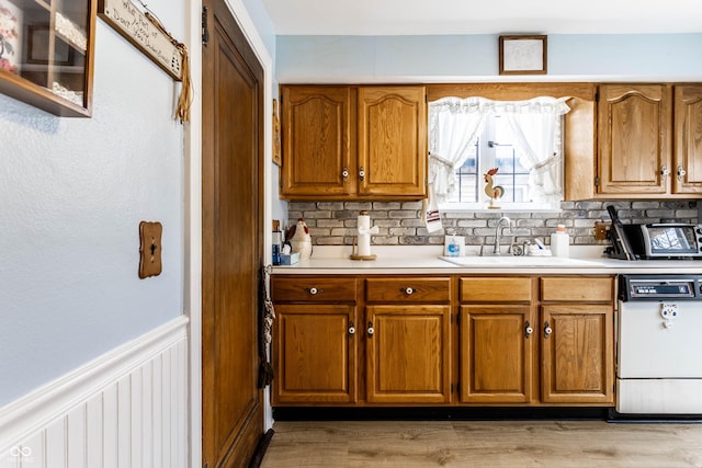 kitchen with light hardwood / wood-style floors, dishwasher, sink, and decorative backsplash