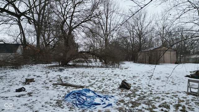 view of yard covered in snow