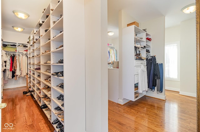 walk in closet with hardwood / wood-style flooring