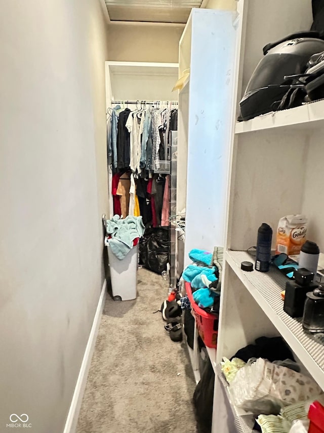 spacious closet featuring light colored carpet