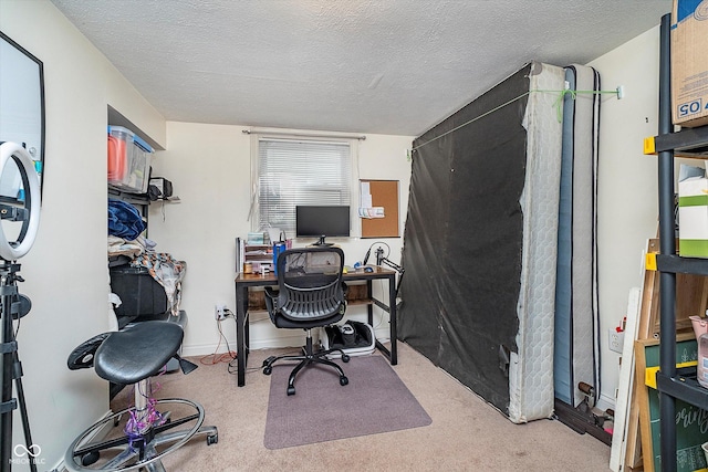 carpeted office with a textured ceiling