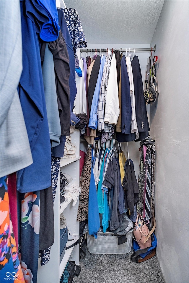 view of walk in closet