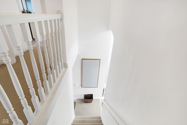 stairs featuring carpet