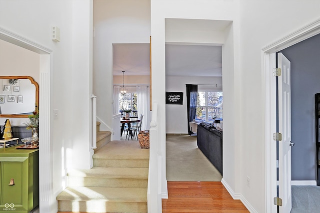 staircase featuring hardwood / wood-style floors