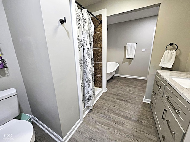 bathroom featuring vanity, curtained shower, wood-type flooring, and toilet